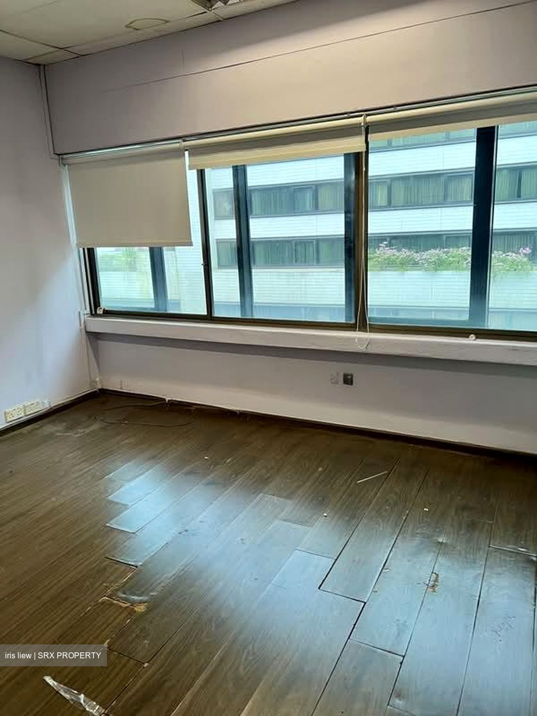 United House (D9), Office #572596491